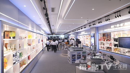 视频 在线办好 进出口一件事 西部陆海新通道 渝贸通数智贸易平台正式上线